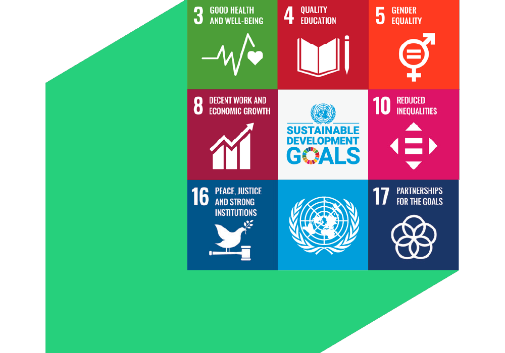 Sustainable Development Goals icon
