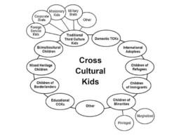 Cross Cultural Kids toolkit spider diagram