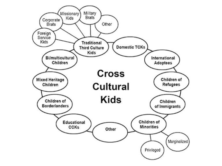 Cross Cultural Kids toolkit spider diagram